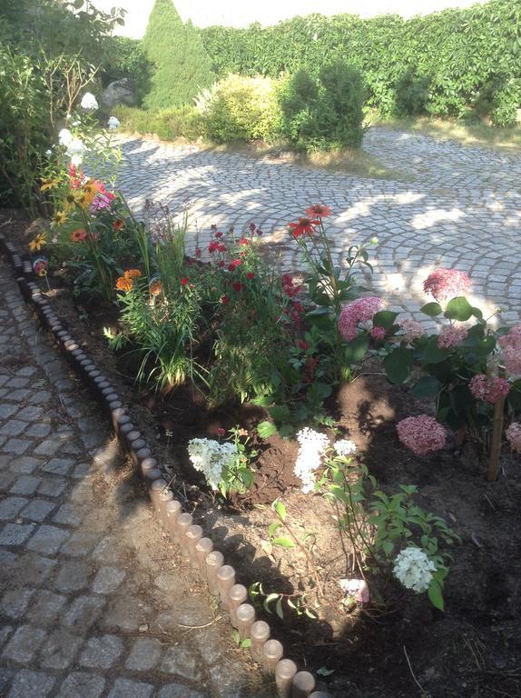 Villa Zakoniczynka กดัญสก์ ภายนอก รูปภาพ